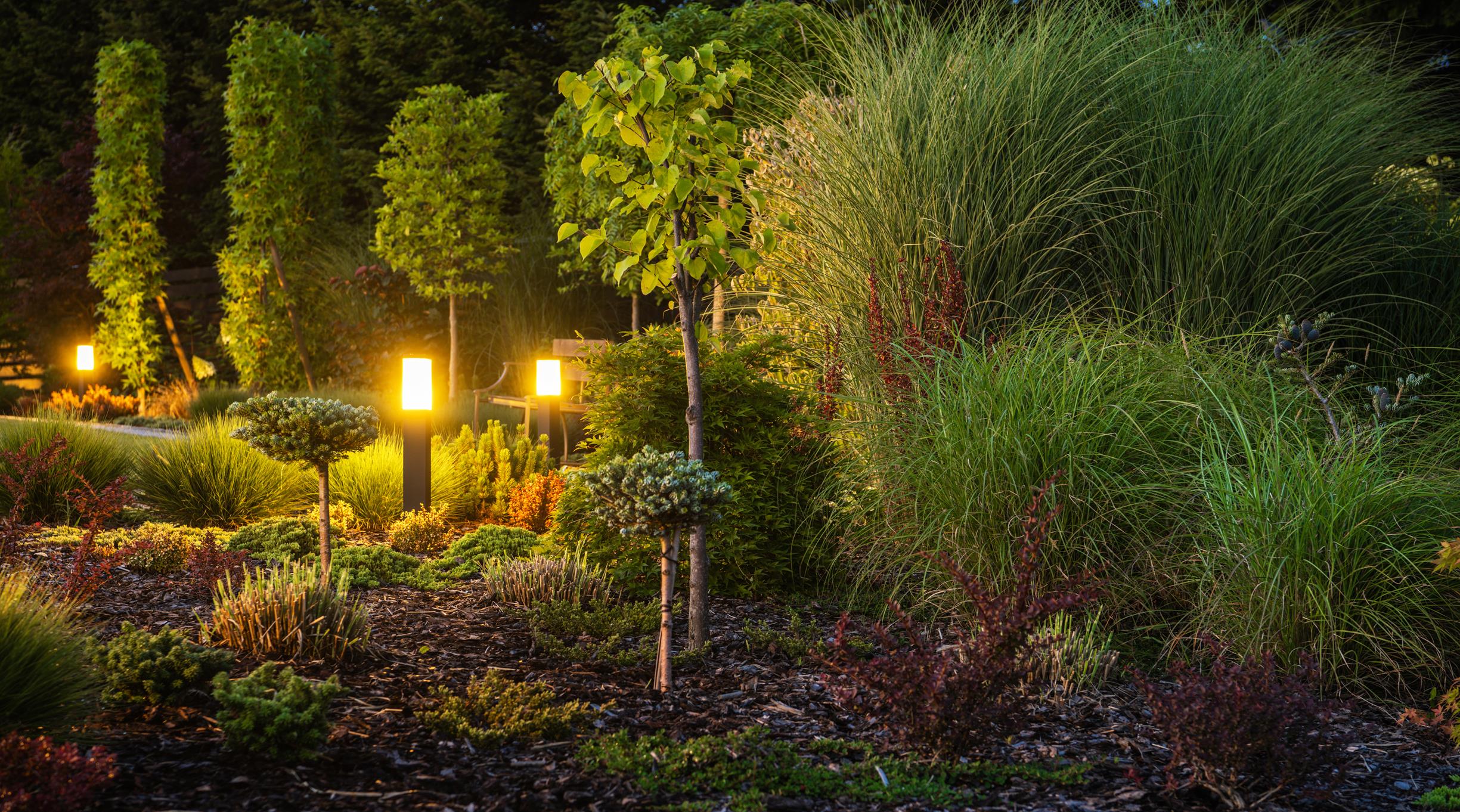Colorful Full of Decorative Backyard Garden Illuminated by Outdoor Landscape Lighting. Night Time in a Garden.
